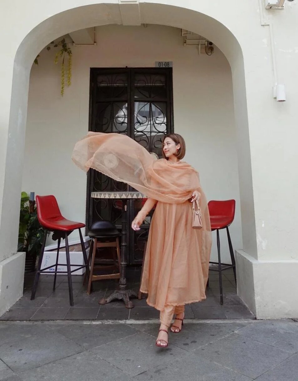 Light Brown Organza Suit